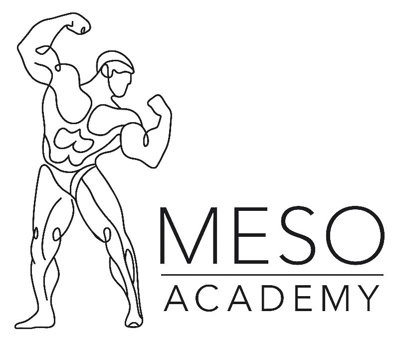 MESO ACADEMY